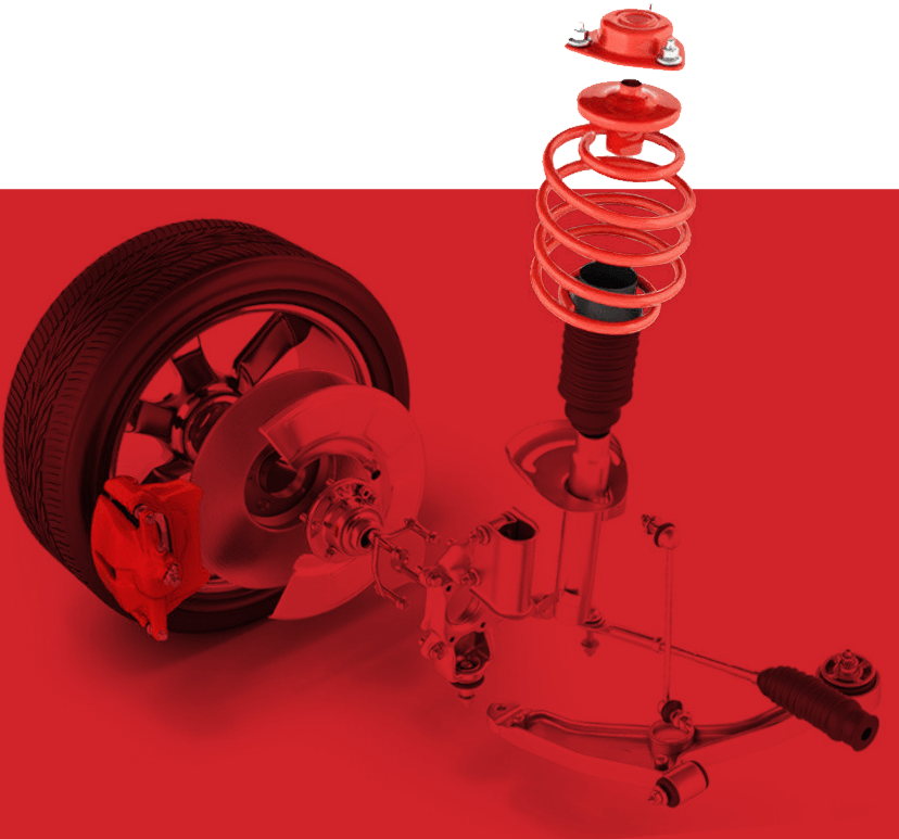 Zhejiang Zongheng Printemps Co., Ltd.